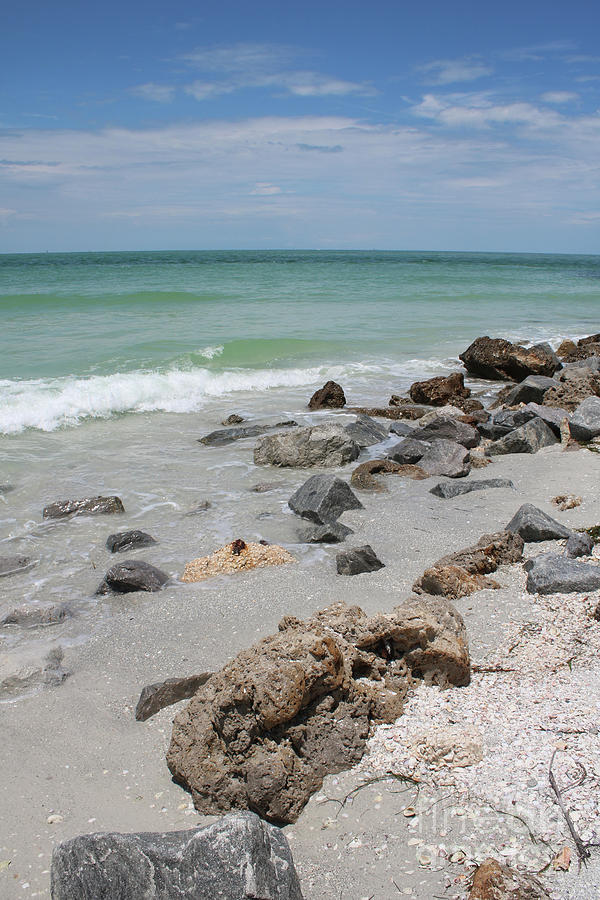 Rocky Florida Beach with Shells Photograph by Carol Groenen