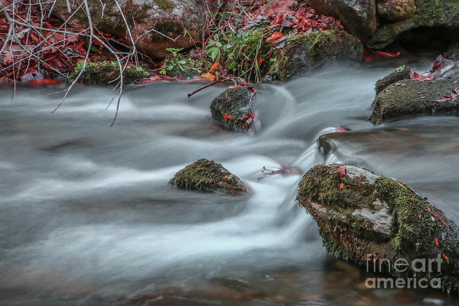 Rocky Flowing Stream Photograph by Tom Claud