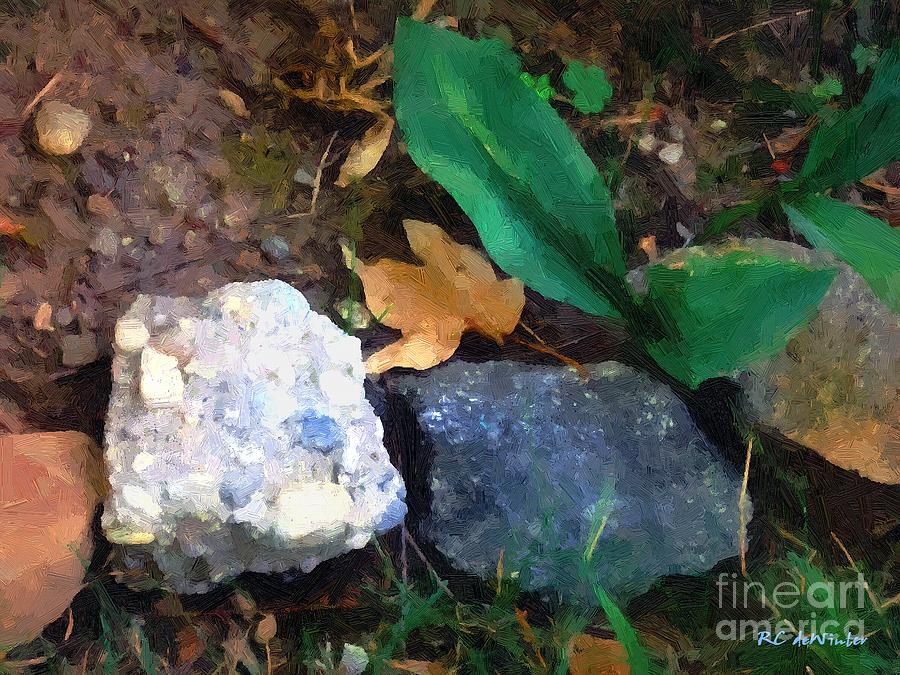 Rocky Ground Painting by RC DeWinter