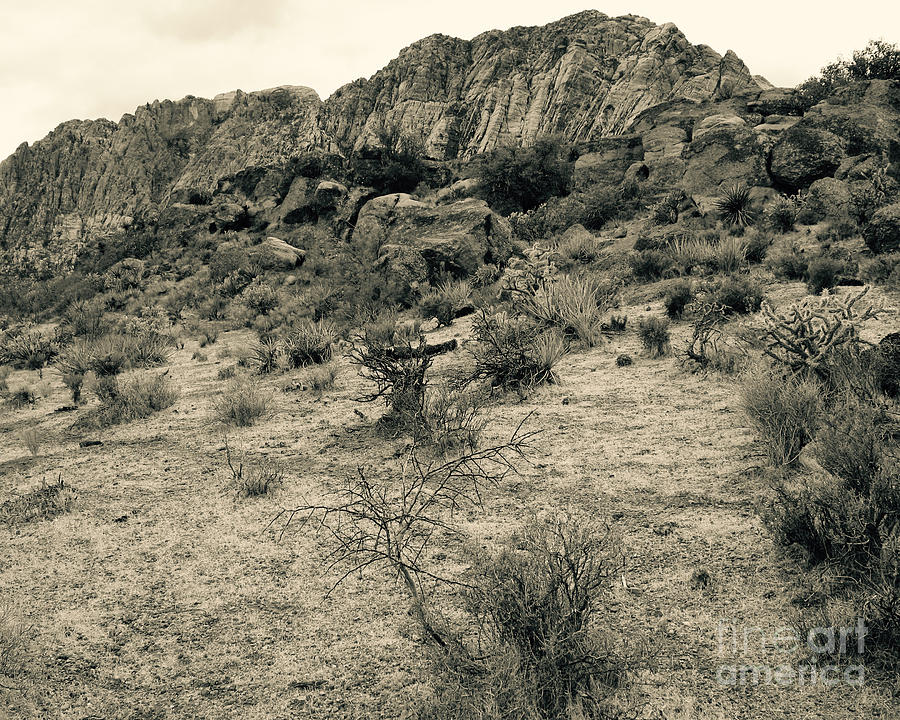 Rocky Landscape - Nevada Photograph by Jason Freedman