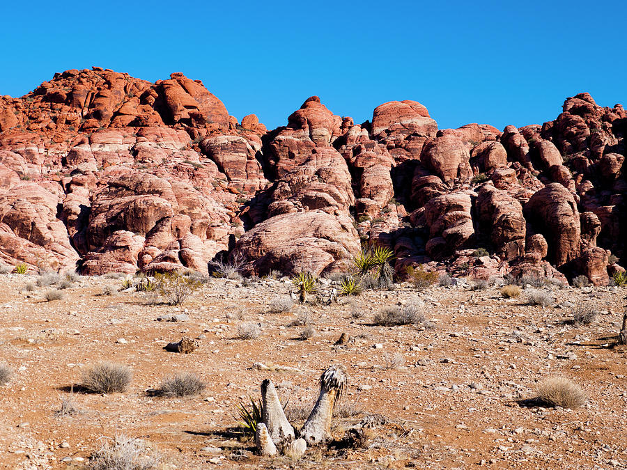 Rocky Ledge Photograph by Rae Tucker - Fine Art America