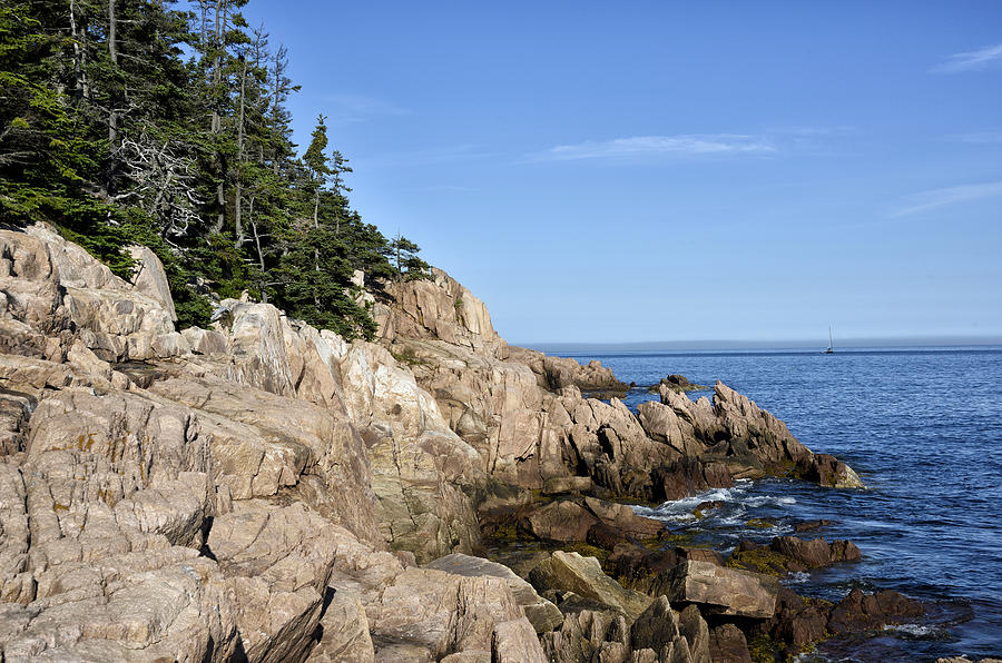 Rocky Maine Coast Photograph by Brendan Reals