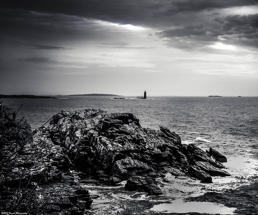 Rocky Maine Coastline Black and White Photograph by Debra Forand