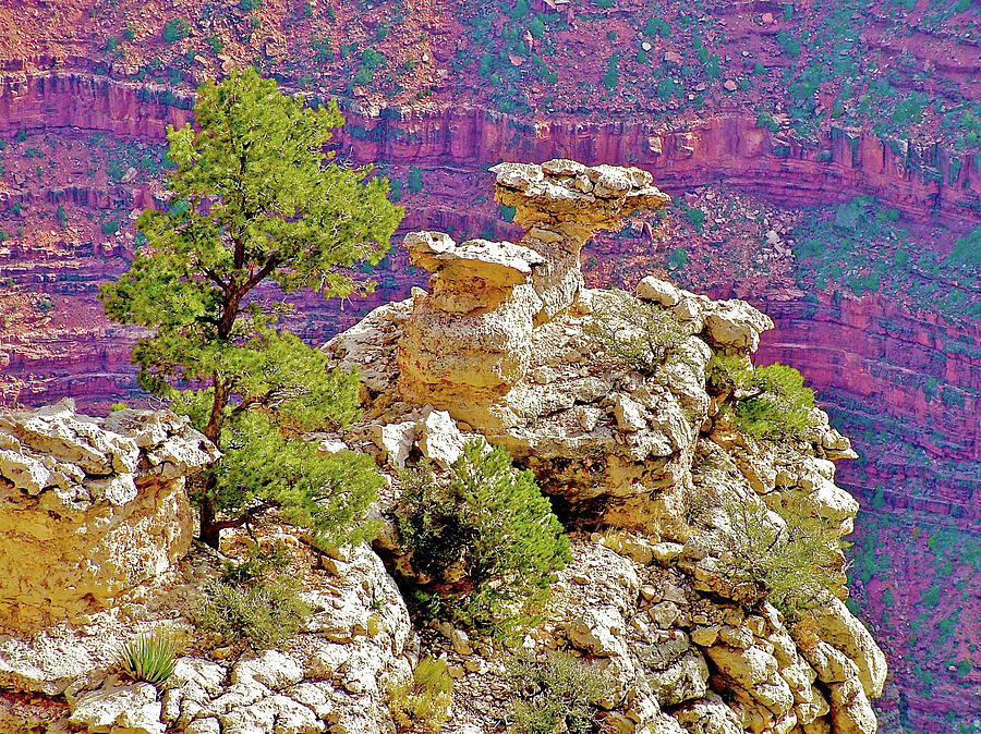 Rocky Mather Point on South Rim of Grand Canyon National Park-Arizona Photograph by Ruth Hager