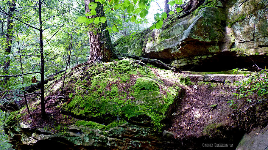 Rocky Moss Ledge at Ash Cave Photograph by Garth Glazier
