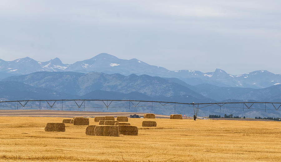 Rocky Mountain Agriculture Panorama Pt 2 Photograph by James BO Insogna