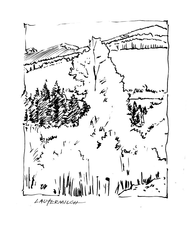 Rocky Mountain Aspens Drawing by John Lautermilch