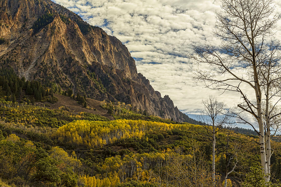 Rocky Mountain Autumn Glory Photograph by James BO Insogna