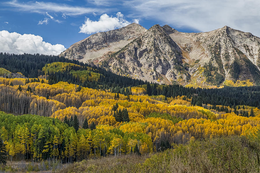 Rocky Mountain Autumn Season Colors Photograph by James BO Insogna