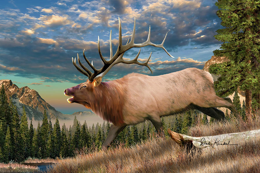 Elk Wildlife Paintings