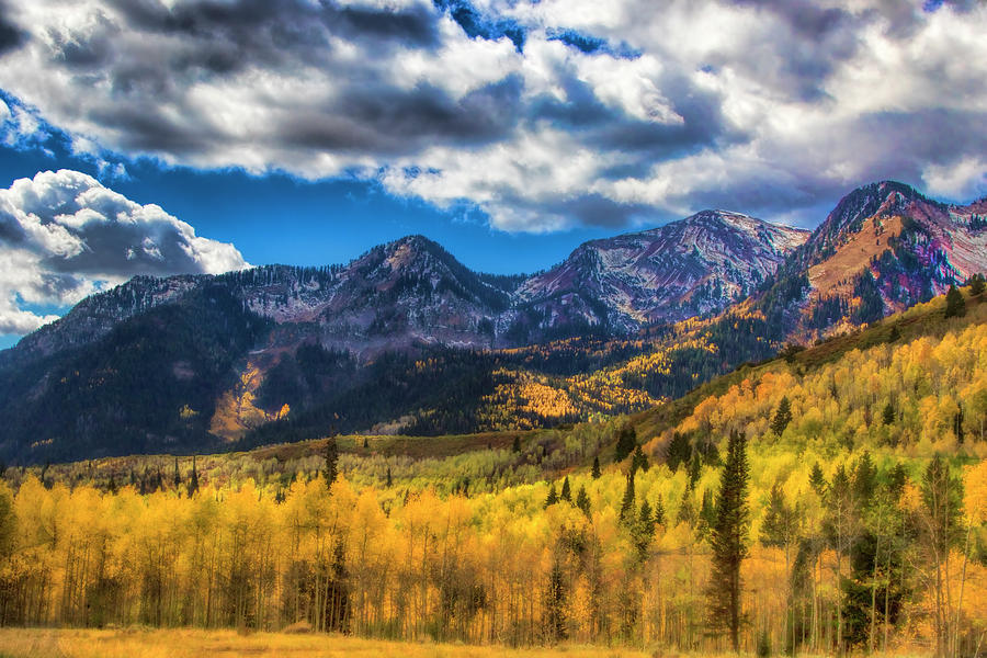 Rocky Mountain Fall Photograph by Mark Smith