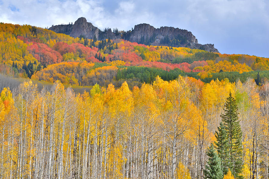 Rocky Mountain Fall Photograph by Ray Mathis