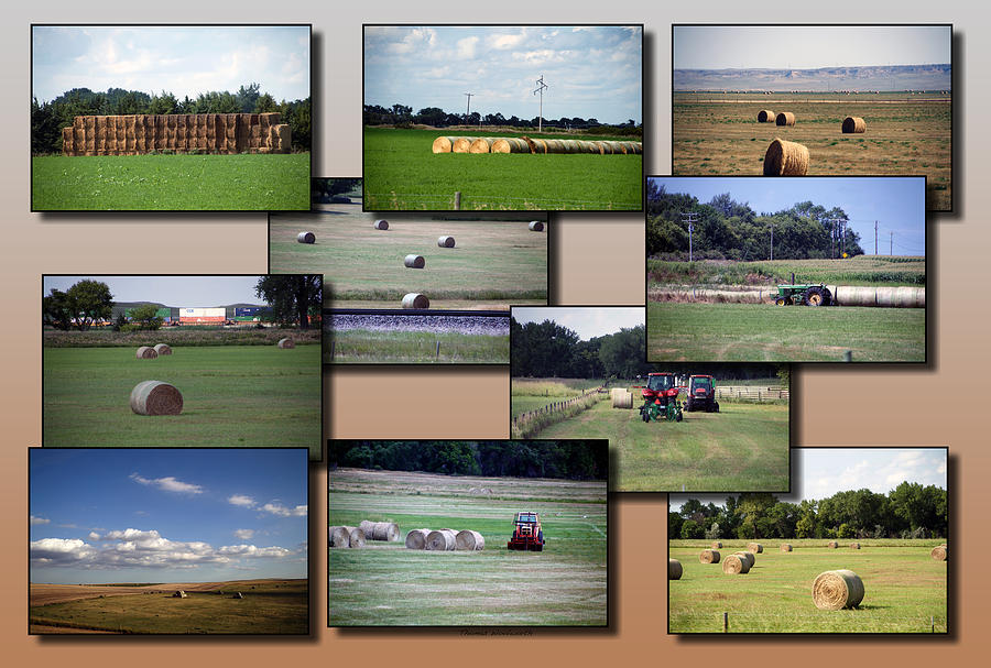 Rocky Mountain Hay Rolls Collage 01 Photograph by Thomas Woolworth