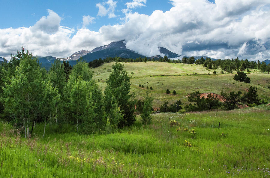 Rocky Mountain Meadow Photograph by Ginger Stein