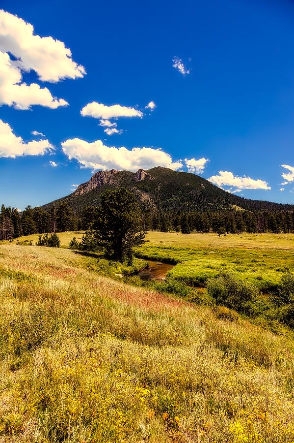 Rocky Mountain Meadow Photograph by Mountain Dreams