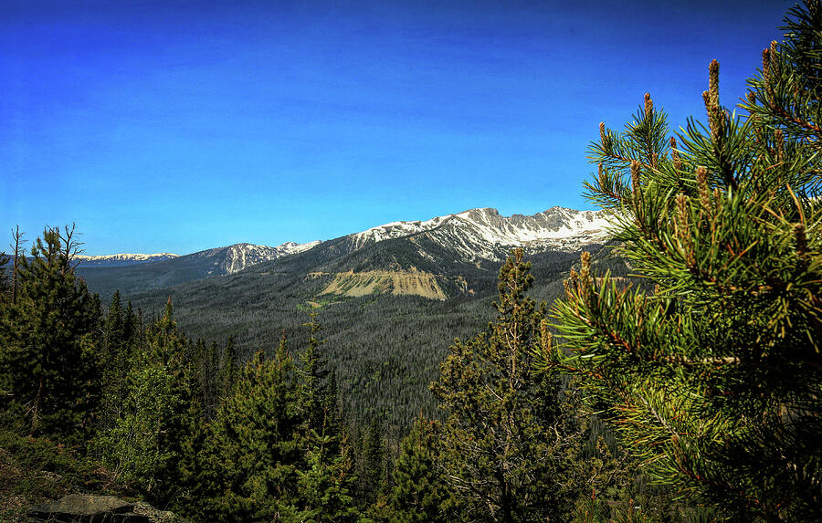 Mountain Photograph - Rocky Mountain National Park 5 by Judy Vincent
