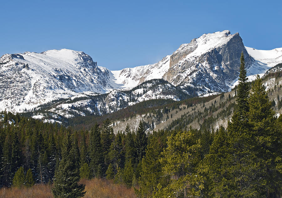 Rocky Mountain National Park Vista showing Hallet Peak on right Photograph by Brendan Reals
