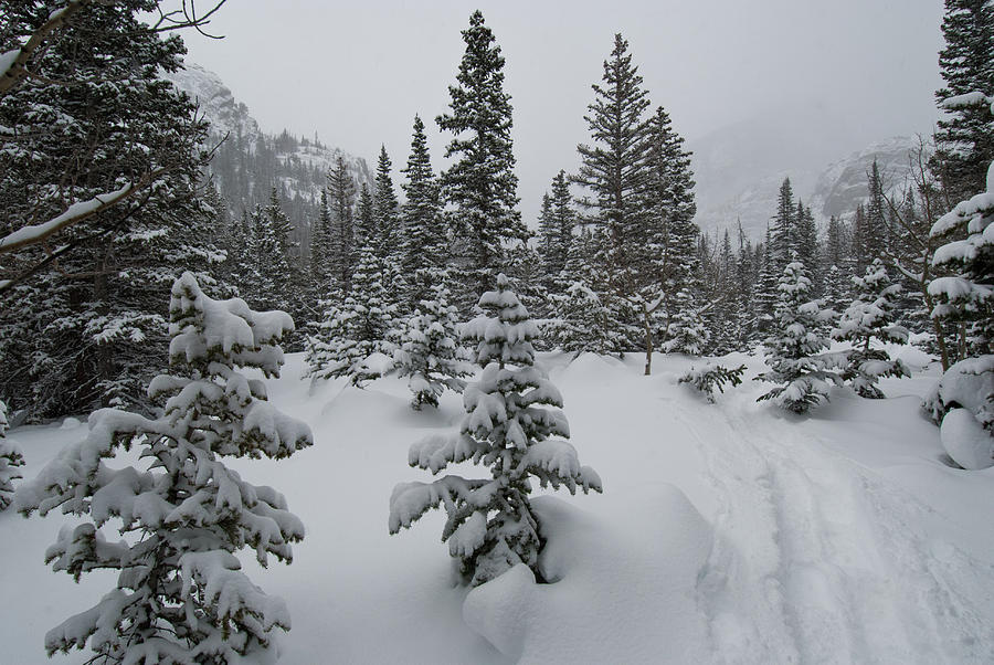 Rocky Mountain National Park Winter Beauty Photograph by Cascade Colors