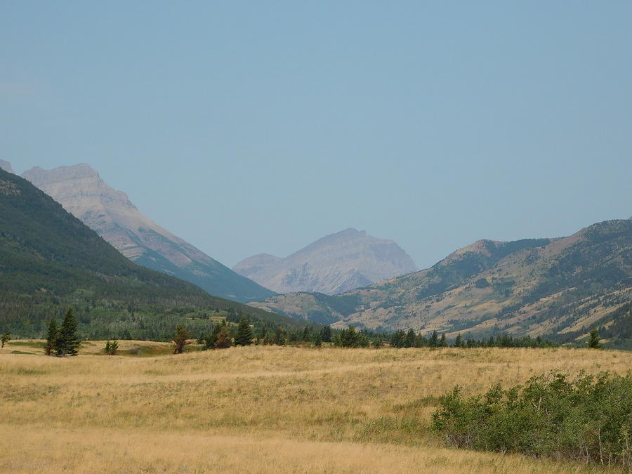 Rocky Mountain Plains Photograph by Lyndsay DeWitt - Fine Art America