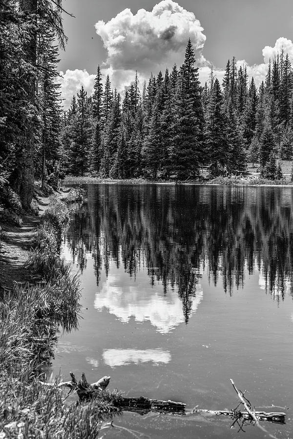 Rocky Mountain Reflection  Photograph by John McGraw