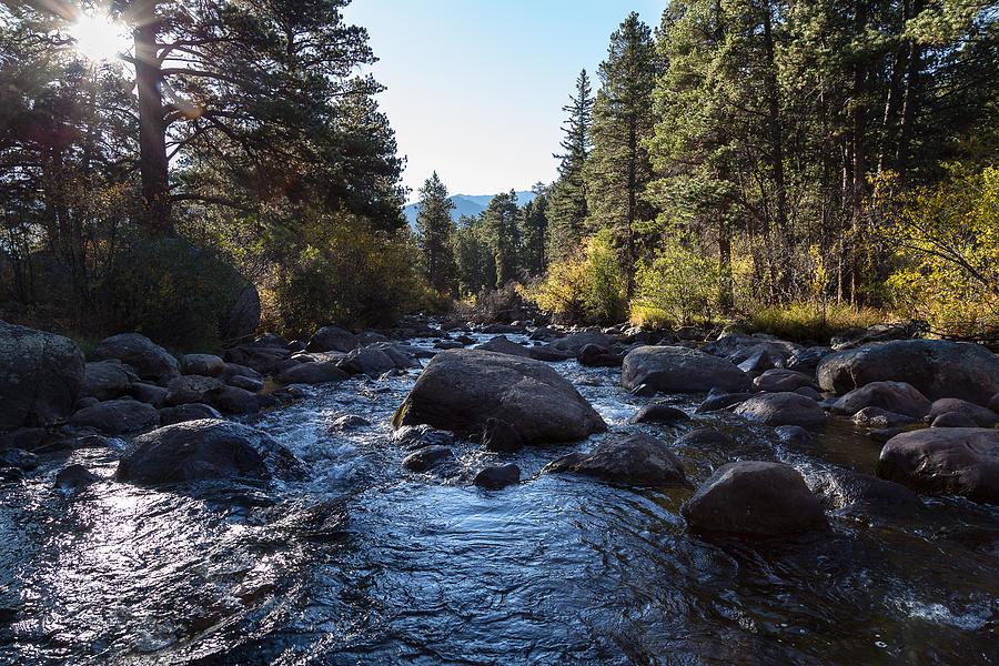 Rocky Mountain Stream