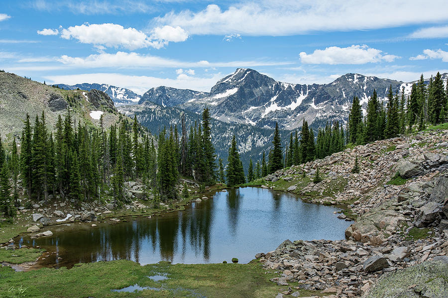 Rocky Mountain Solitude Photograph by Aaron Spong