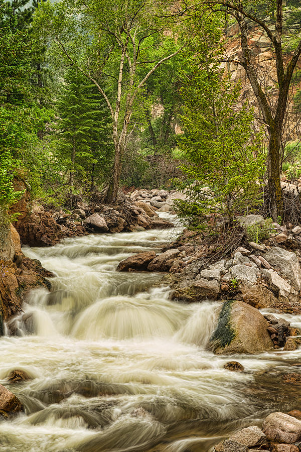 Rocky Mountain Streamin Dreamin Photograph by James BO Insogna