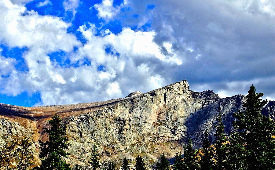 Rocky Mountain Summit Photograph by Amy McDaniel