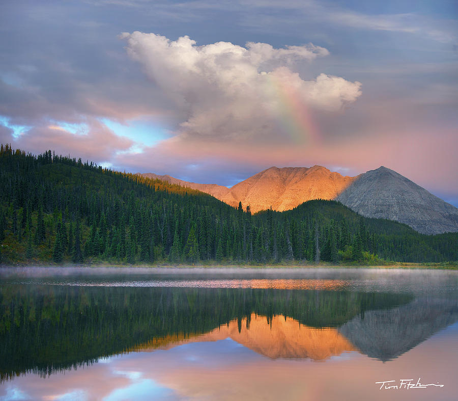 Rocky Mountain Photograph by Tim Fitzharris