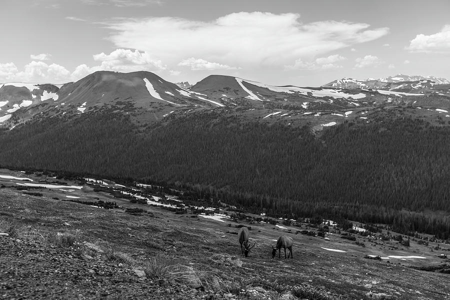 Rocky Mountain View  Photograph by John McGraw