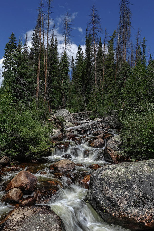 rocky mountain water slide