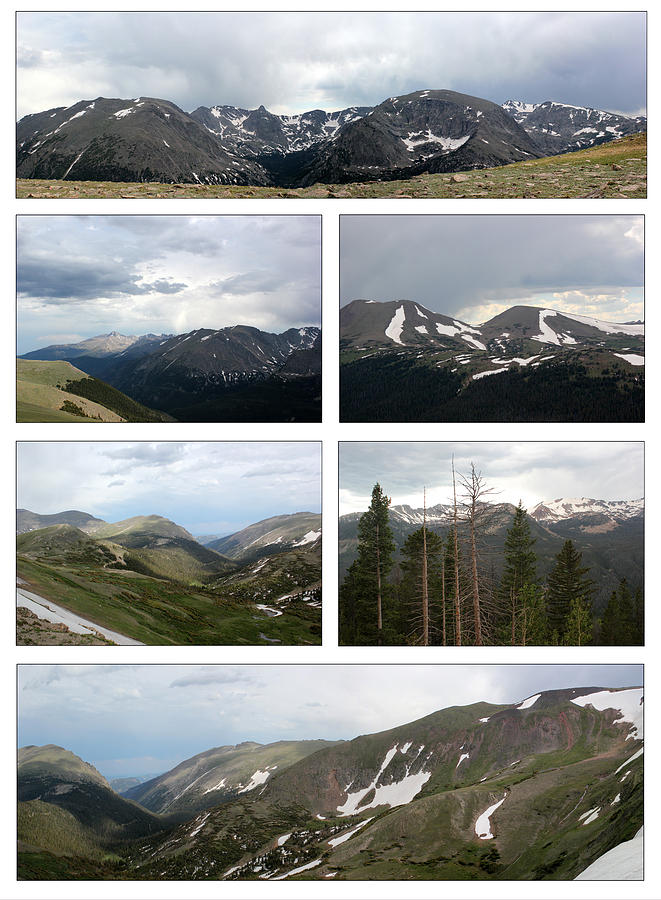 Rocky Mountain white background Photograph by Mary Bedy