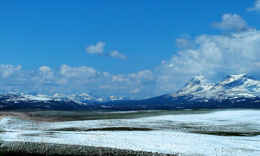 Rocky Mountain Winter Photograph by Tracey Vivar