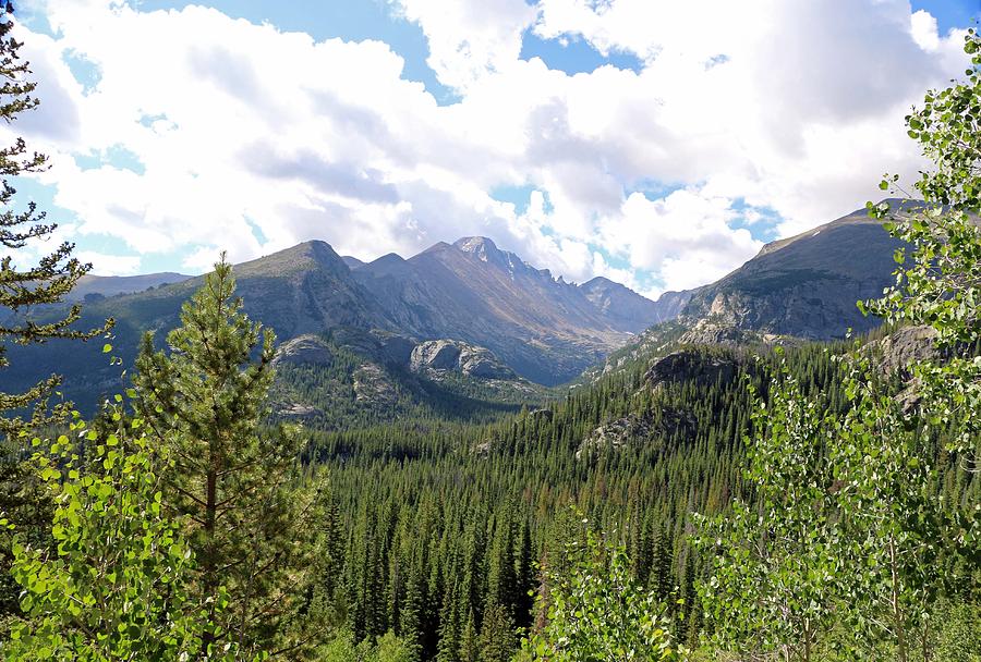 Rocky Mountains 01 Photograph by Pamela Critchlow