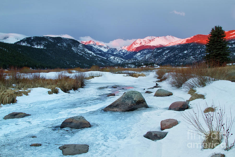 Rocky Mountains, Colorado Photograph by Ronda Kimbrow