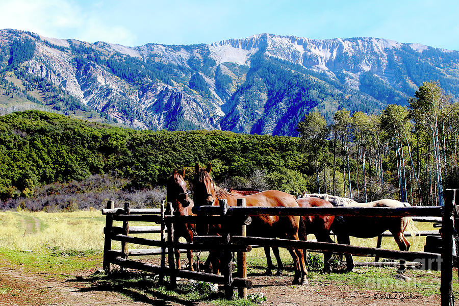 Rocky Mountains Horses Country Living II Digital Art