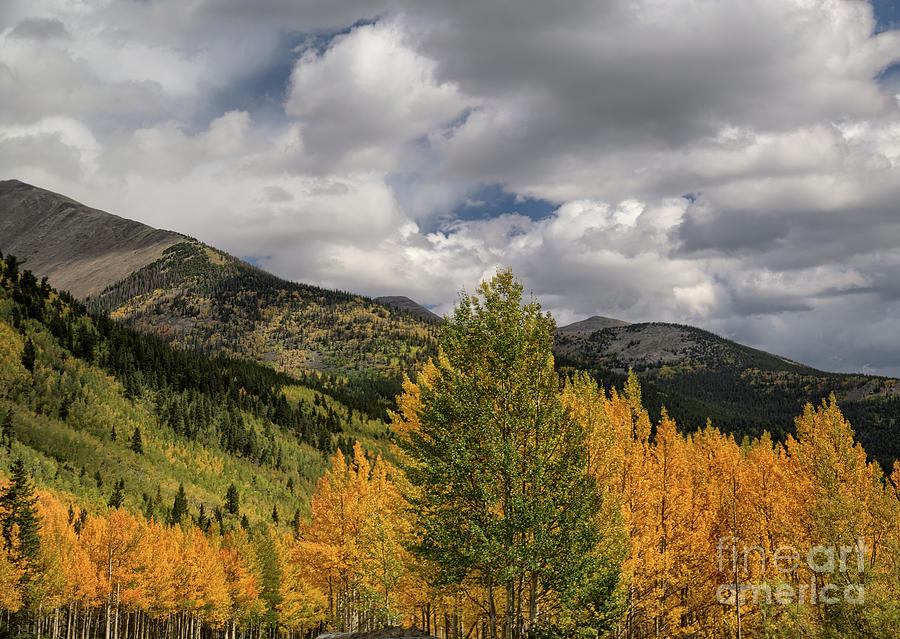 Rocky Mountains Photograph - Rocky Mts.  8b7455-HDR3 by Stephen Parker