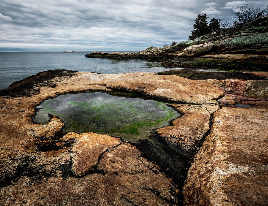 Rocky Neck Tide Pool Photograph by Simmie Reagor