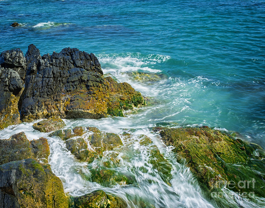 Newport Cliffs Photograph by Lorraine Cosgrove