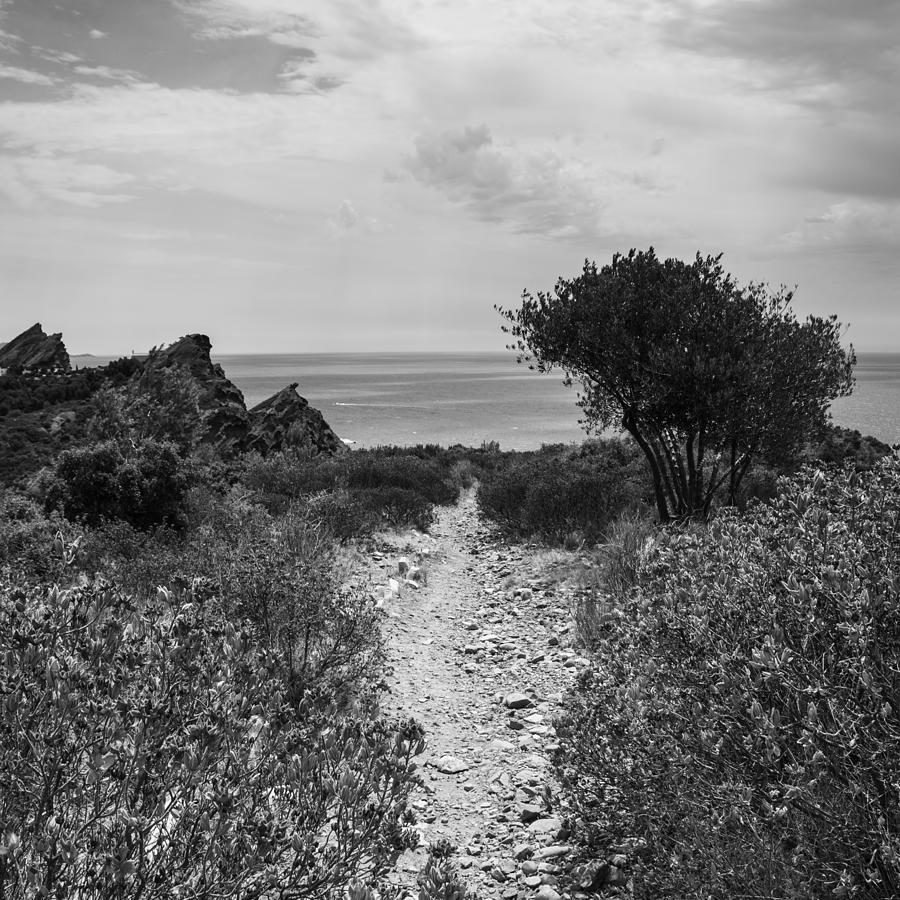 Rocky Path to the Sea in Mono - Square Photograph by Georgia Clare