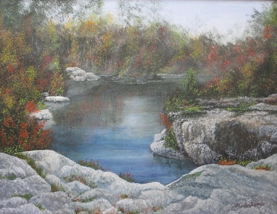 Rocky Pond Painting by Sheila Banga
