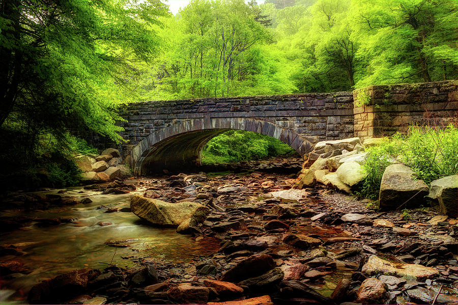 Rocky River Bridge Photograph by Mike Eingle