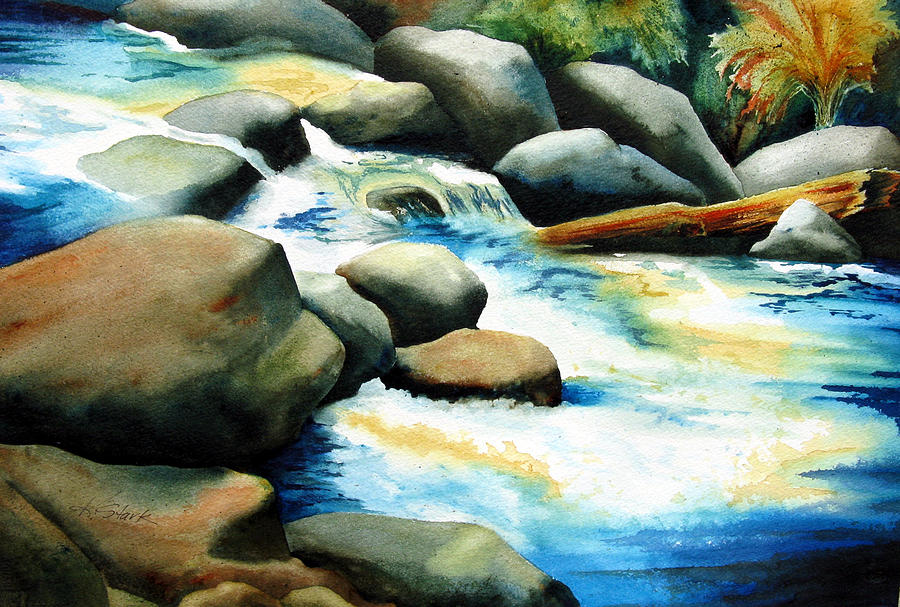 Rocky River Run Painting by Karen Stark
