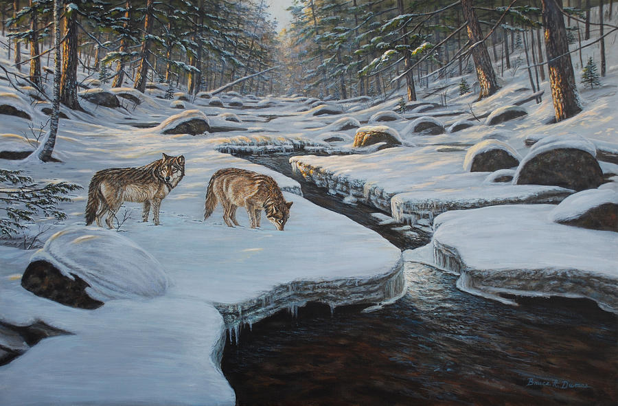 Rocky River Wolves Painting by Bruce Dumas
