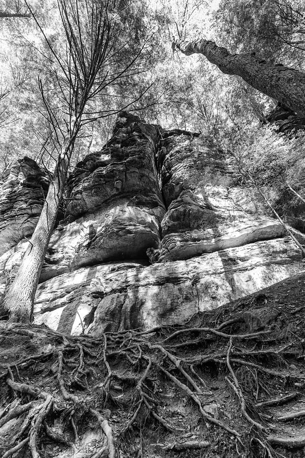 Rocky Roots Photograph by Alan Raasch