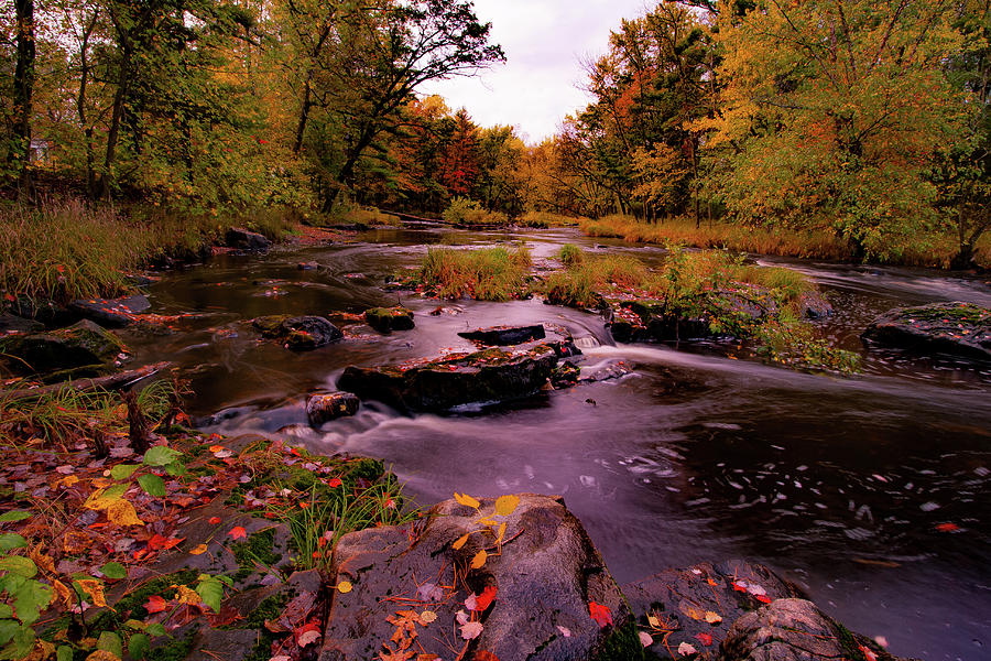 Fall Photograph - Rocky Run Creek by Neal Nealis