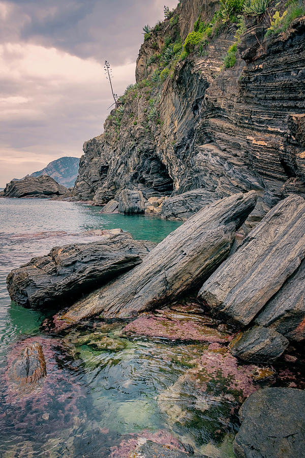 Rocky Shore and Tide Pools Vernazza Cinque Terre Italy  Photograph by Joan Carroll