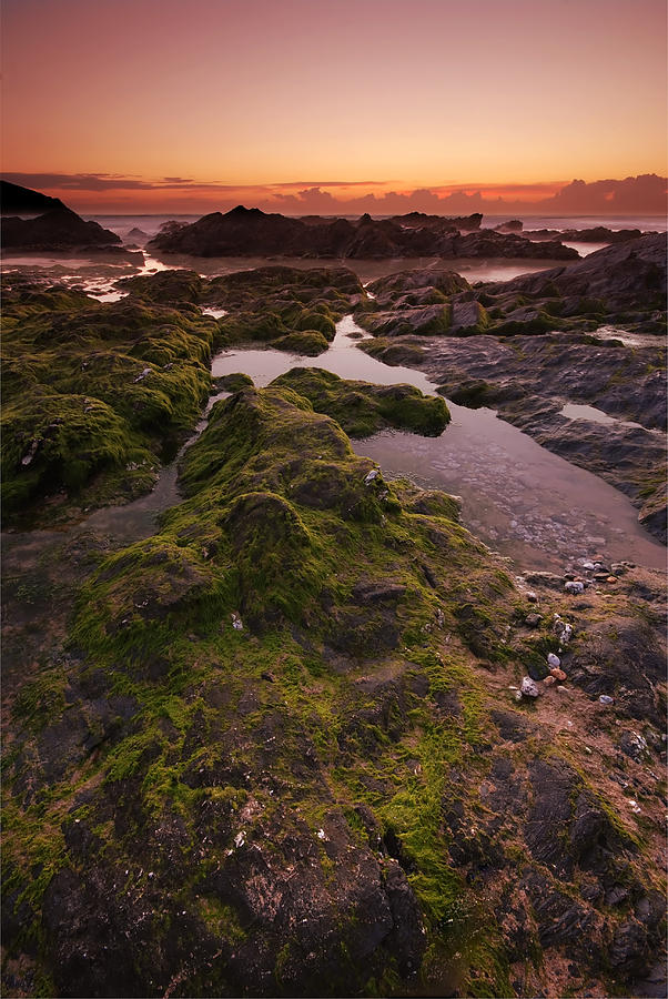 Sunset Photograph - Rocky Shore by  Jaroslaw Grudzinski