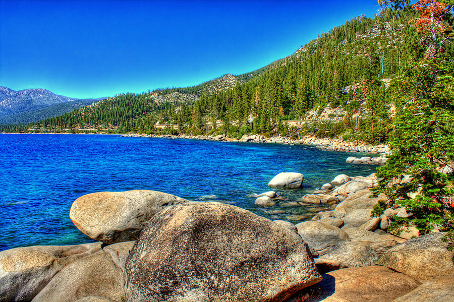 Rocky Shore Photograph by Randy Wehner