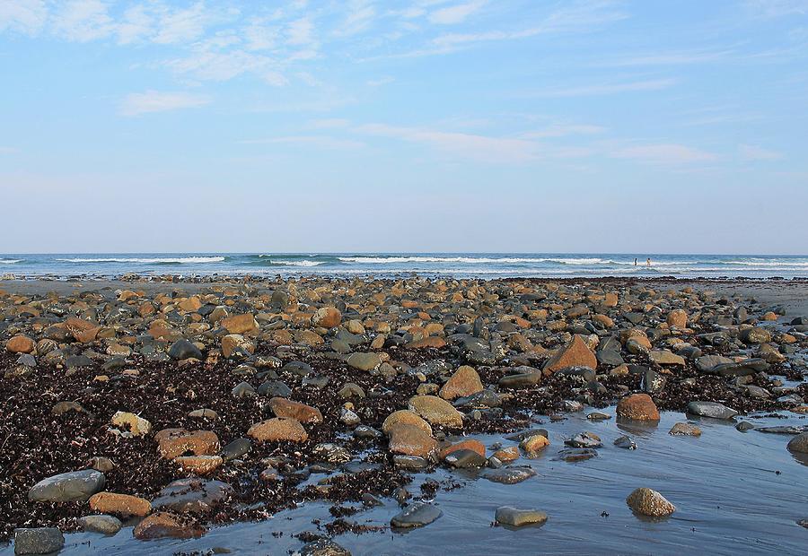 Rocky Shore side of Longs Sands Beach York Maine Photograph by Michael Saunders